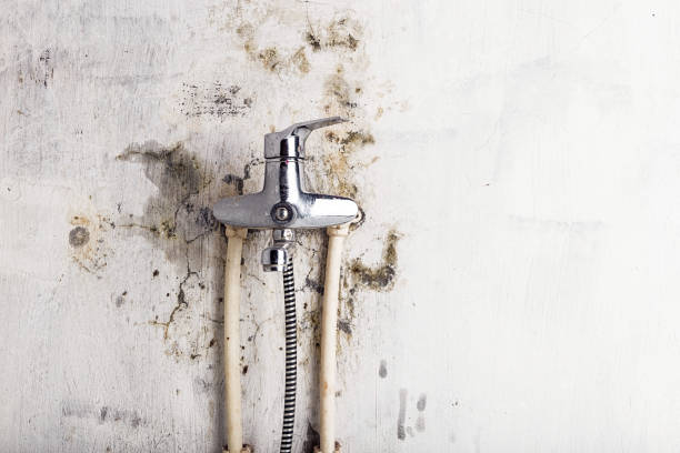 Water Damage Restoration in Islip Terrace, NY
