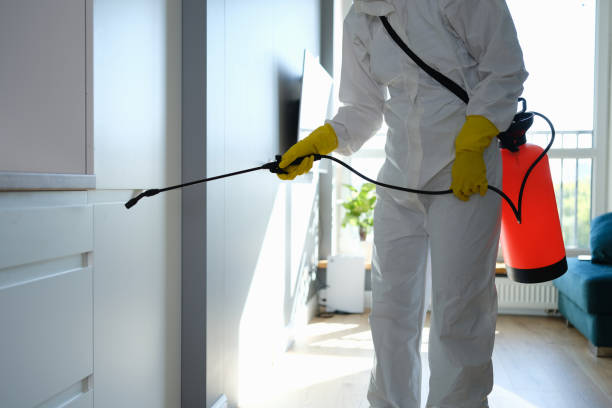 Best Residential Mold Removal  in Islip Terrace, NY