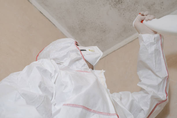 Best Emergency Mold Removal  in Islip Terrace, NY